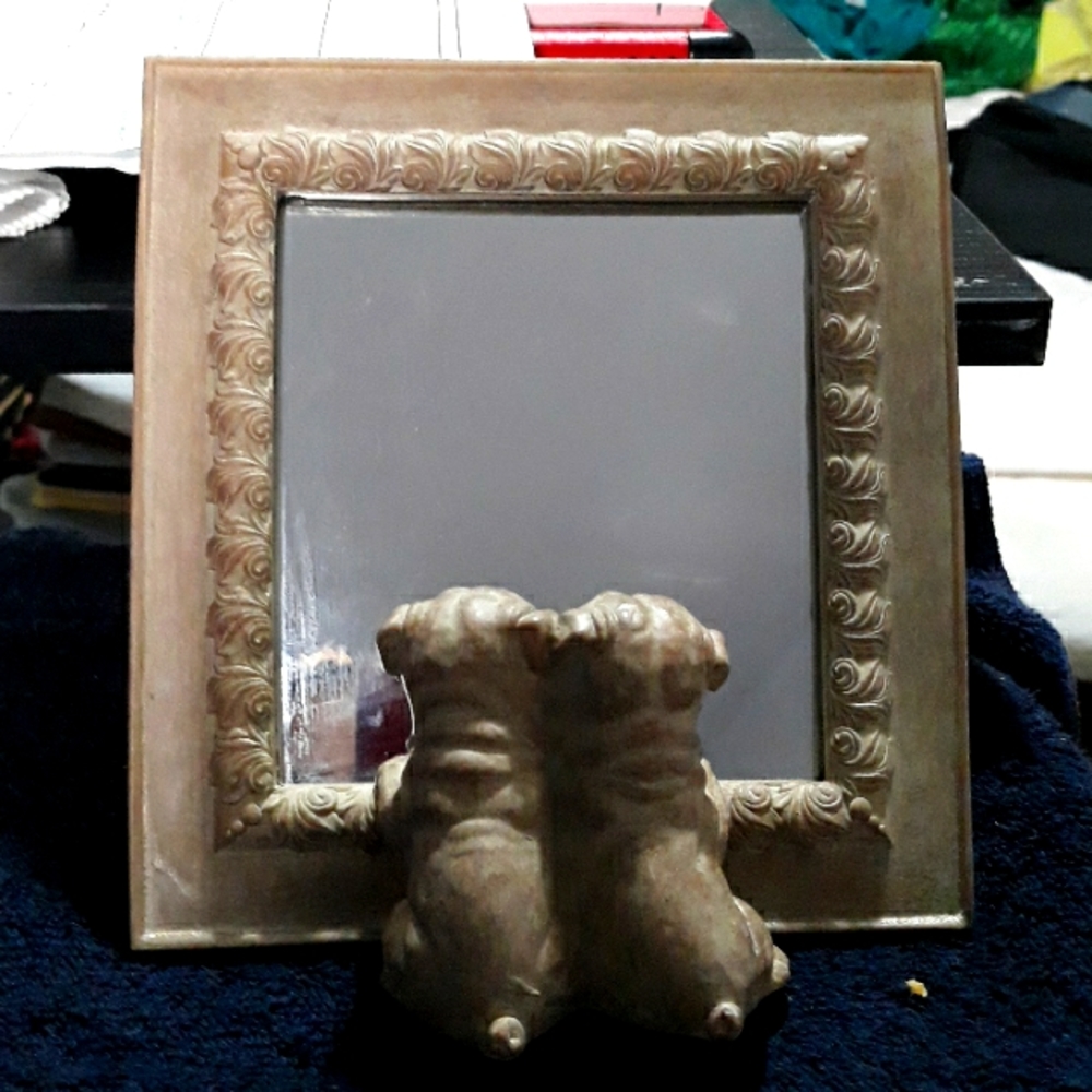 Pug Puppy Dog Mirror
